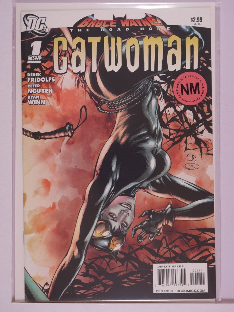 CATWOMAN BRUCE WAYNE THE ROAD HOME (2010) Volume 1: # 0001 NM