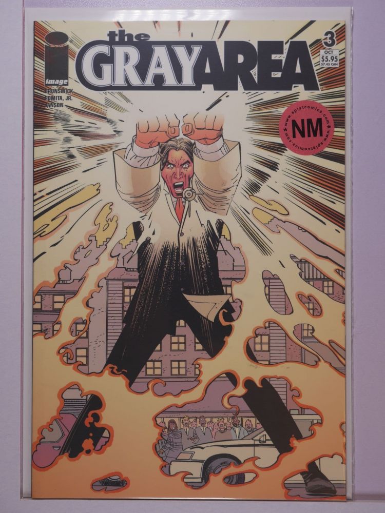GRAY AREA (2004) Volume 1: # 0003 NM