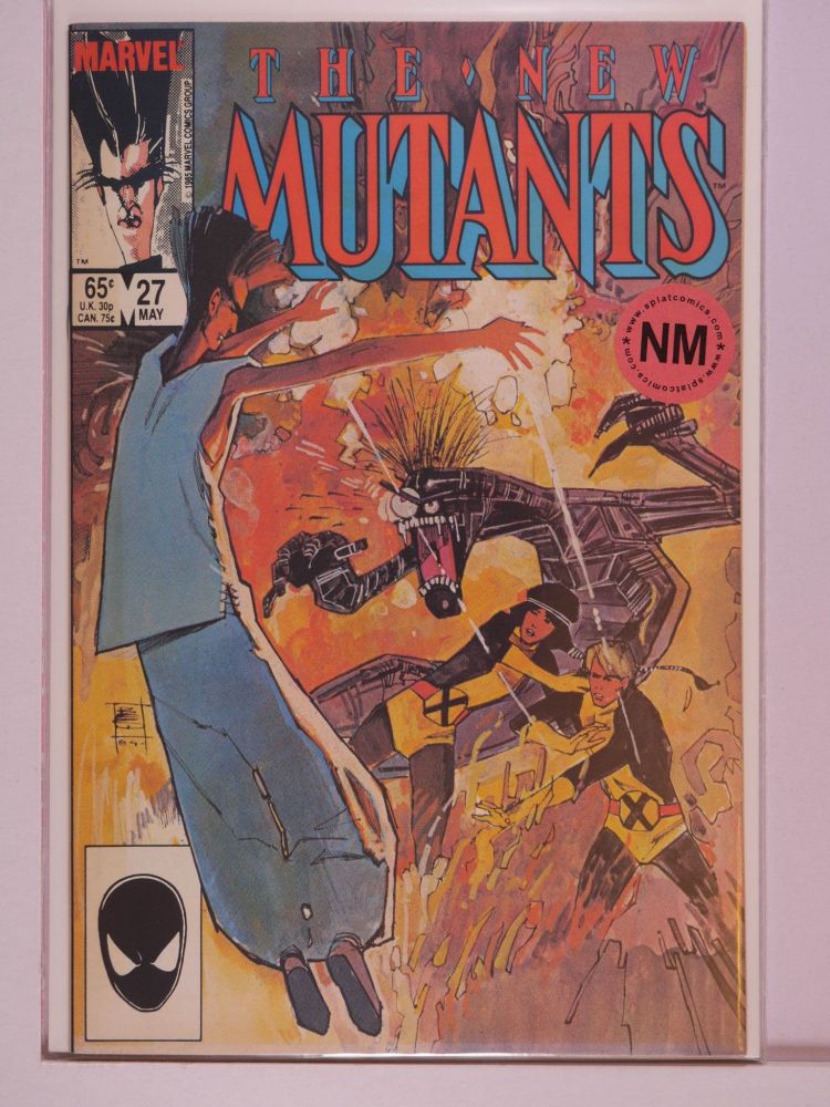 NEW MUTANTS (1983) Volume 1: # 0027 NM